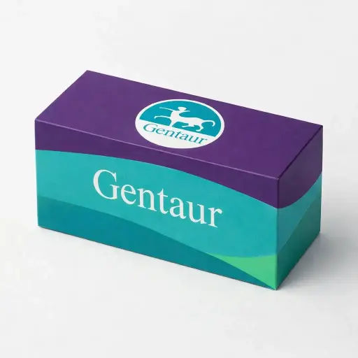 Enteroadhesive E. Coli (EAEC) Real Time PCR Kit