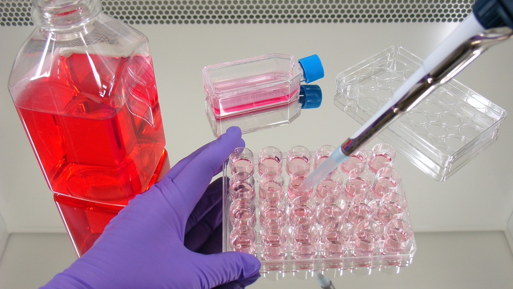 Balanced Salts with Phenol red, w/o Sodium bicarbonate