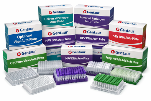[61HS46] HPV DNA Auto Tube